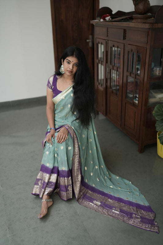 Banarasi saree DW001